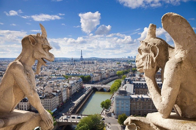 6.the gargoyles of notre dame