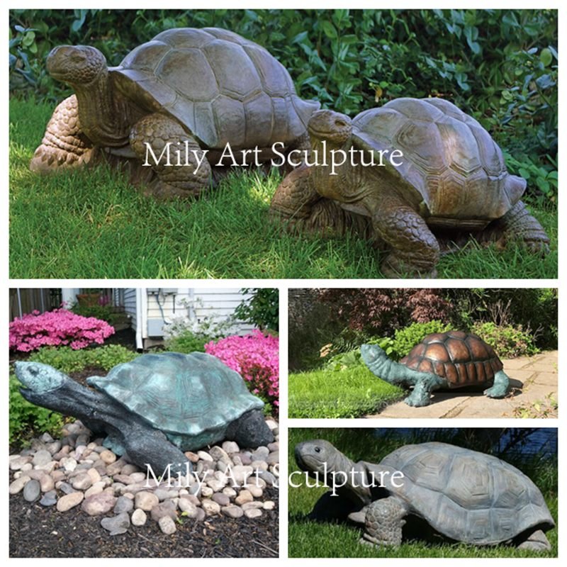 Applications of Large Garden Turtles