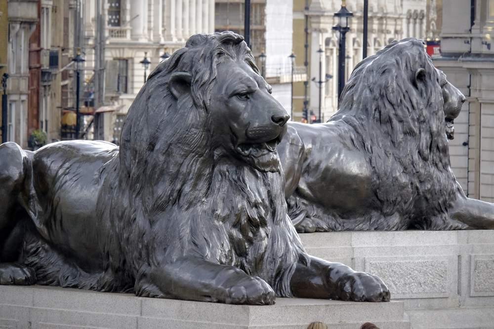 nelson’s column in london, england bronze barbary lions