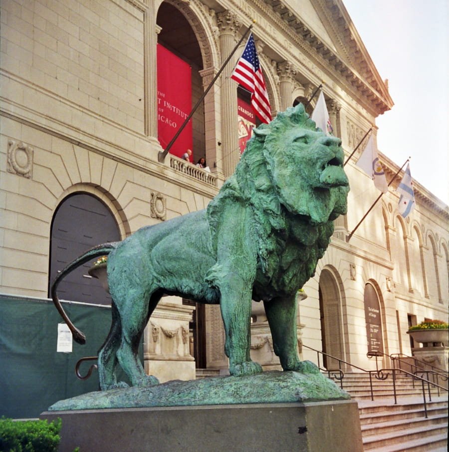 art institute of chicago lion statue (2 d)