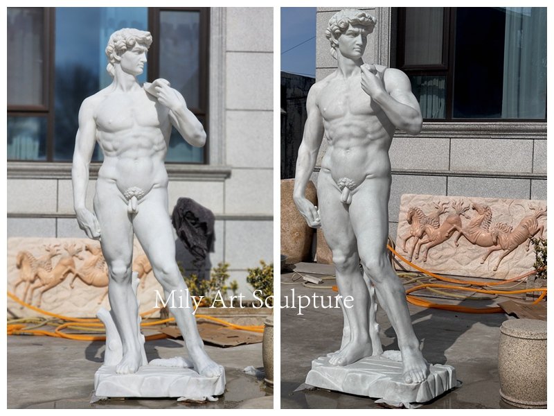 Mily marble David statue display